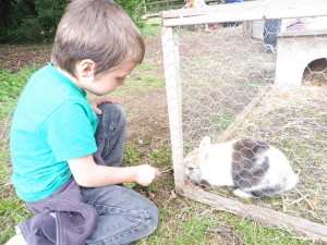 Alexandre aime bien les lapins, c'est tout doux