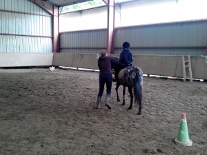 Dans le manège